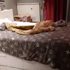 سرير نفر ونص نظيف وجديد