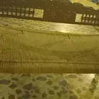 خمس كراسي وقعد الواحد من 250