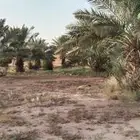 مزرعه للبيع