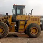 شيول شانتوي صيني