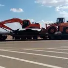 لوبد متواجد بالطائف وما حولها