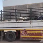 للبيع صندوق جامبو البيع عجل 4متو ونص عرض الشاص 85 2014