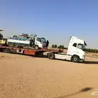 لوبد متوجد في حائل