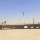 لوبد متوجد في القصيم