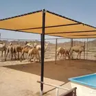 مظلات أبل