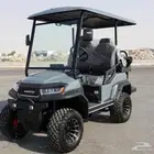 بيع وتأجير وصيانه جميع انواع العربات الكهربائيه