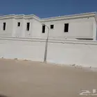 ليسه ملونه بديل الحجر بجميع الالوان وتشكيلاتها