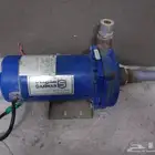 دينمو سمنان حصان ونص