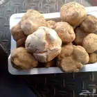 فقع طيب وجديد طازج شكل يومي