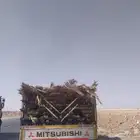 سعف نخل جديد أخضر للعرايش والمظلات