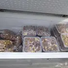 عدنا اليكم من جديد. التواصل واتس فقط