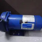 دينمو سمنان حصان ونص