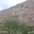 معلم حجر