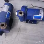 دينمو سمنان