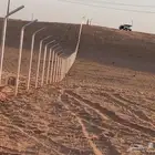 مقاول شبوك