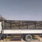 سعف جديد أخضر للعرايش والمظلات