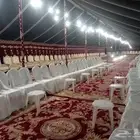 تاجير خيام بيوت شعر أسود وابيض كنب ملكي كرسي شعبيه مهرجان خي