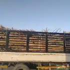 سعف اخضر جديد للعرايش والمظلات والمظلات