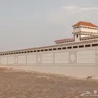 تلييس بديل ارخام