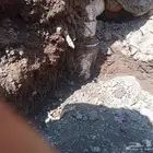 هناجر وابوابحداد