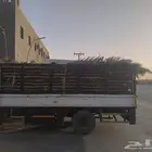 سعف جديد أخضر للعرايش والمظلات