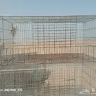 شبوك مجلفنة