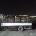 سعف نخل جديد أخضر للعرايش والمظلات