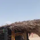 جريد عرائش ومظلات