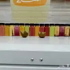 معلم عصاير