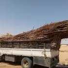 جريد ومظلات للبيع