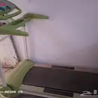 سير كهربائي