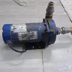 دينمو سمنان حصان ونص