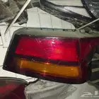 اسطب التيما يمين 2019--2022