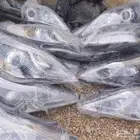 شمعات ازيرا زنون وعادي 2012الى. 2017
