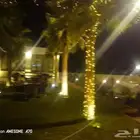 زينة عقود لمباة عقود زينة زوجات
