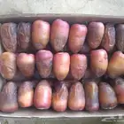 ونانة وبرني