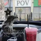 تعليقة سيارة