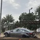 للبيع نسيان التيما 2024 مصدومه