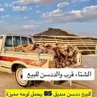 ددسن للبيع موديل 85 وتحمل لوحه مميزه (سمر 1500) السعر 1500