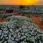 شرق الرياض