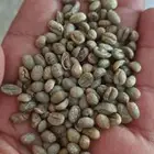 قهوه صيني رقم 1