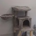 شجرة خدش للقطط.