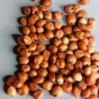 حب بلدي زعر