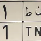 لوحة مميزه نقل خاص رقمين 41