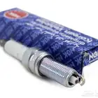 بواجي ngk للدودج 3.6