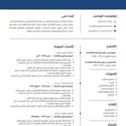 تصميم سيرة ذاتية