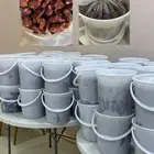 تمر حلوة سميراء رميثيه