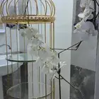 أبوعريش دولاب ملكه مع استاند