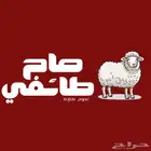مطعم الصاج الطائفي في سوق الشفاء