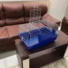 اقفاص ارانب جملة